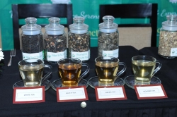 New Type of  Tey Restaurant : 100 Varieties of Tea